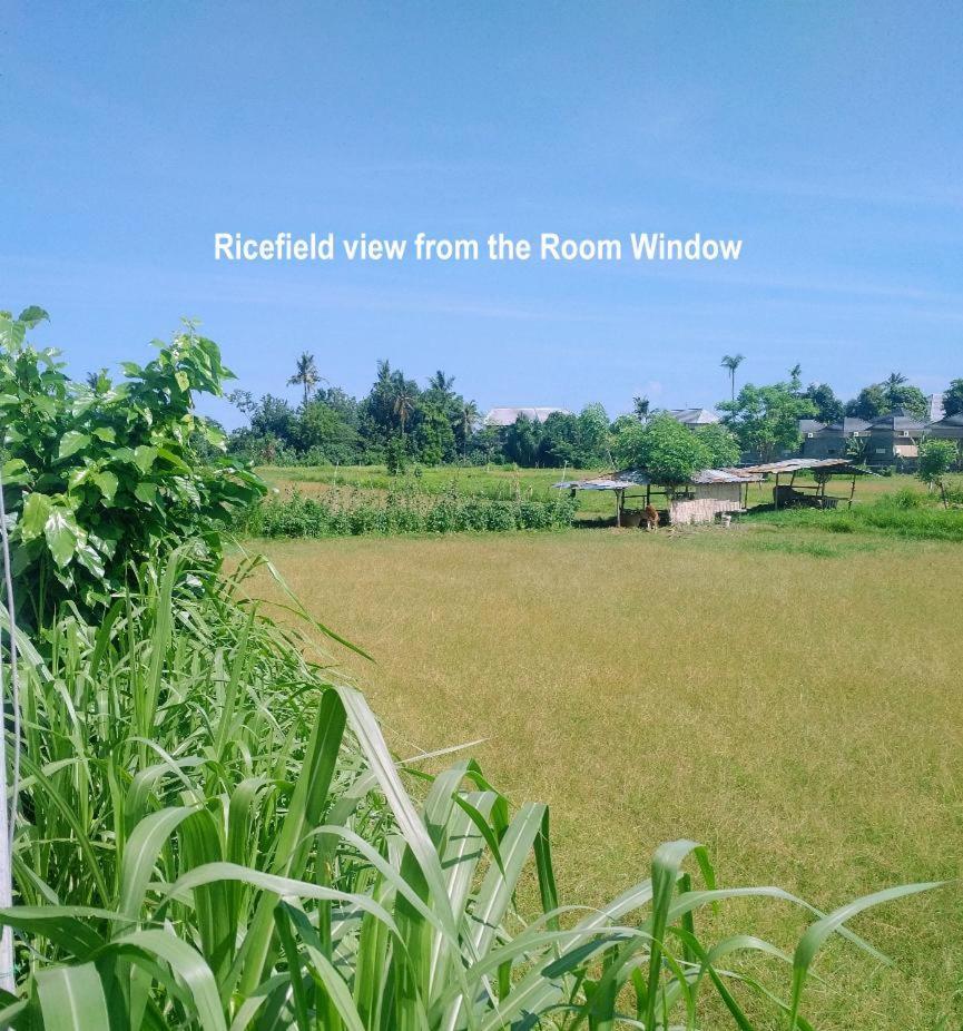 Bali Paradise Hotel Boutique Resort Lovina Rum bild